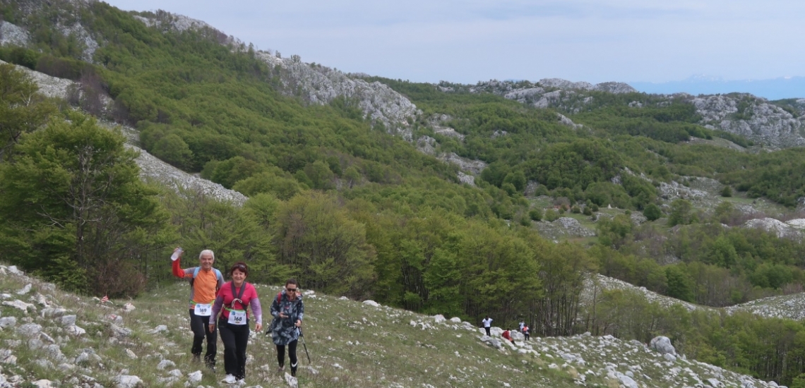 Planinarski klub Vjeverica, Vjeverica mountain club in Kotor