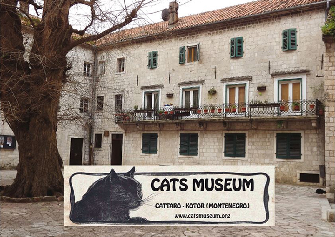 Община Котор, Музей кошек (Cats Museum)