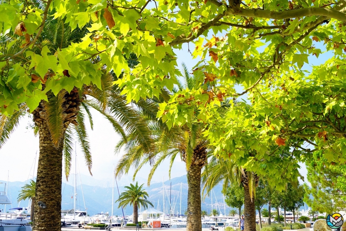 Porto Montenegro