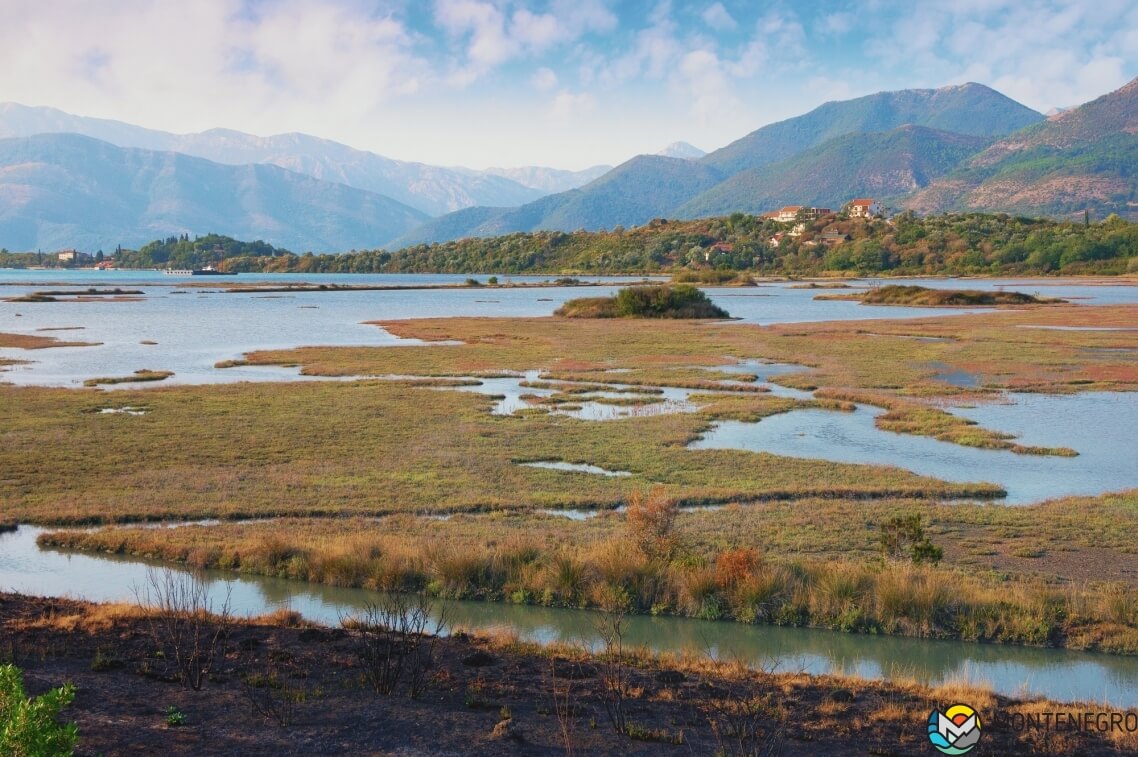 Solila bird sanctuary, Tivat, Montenegro